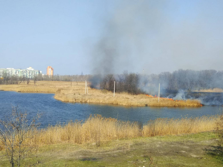 На Полтавщині з початку 2019 року виникл…