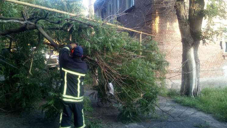 У центрі Кропивницького акація впала на…