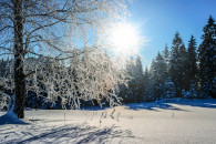 В Україні різко потепліє: Якою буде пого…