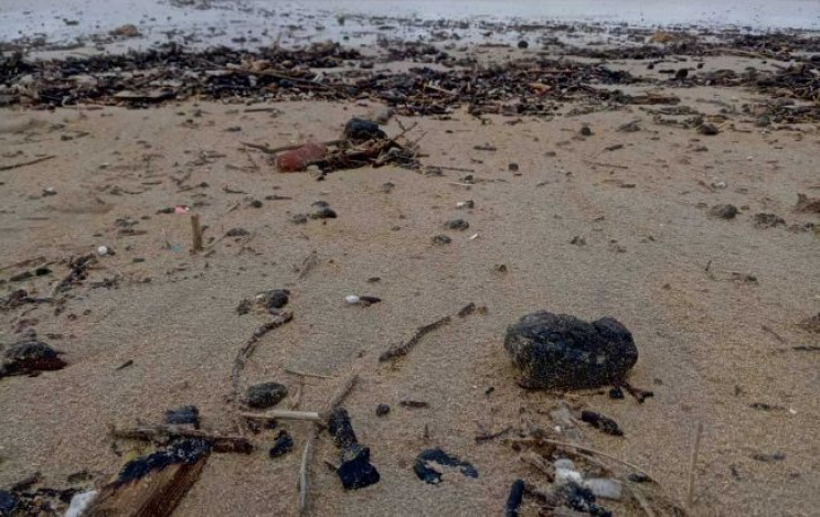 В Ізраїлі закрили пляжі через розлив смо…