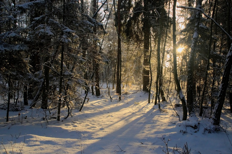 Потепління до +12: Якою буде погода в Ук…