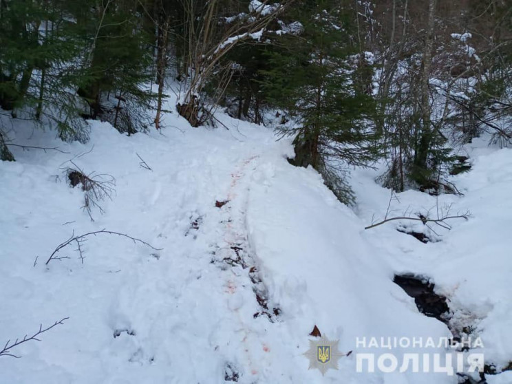 У нацпарку "Синевир" поліція затримала д…
