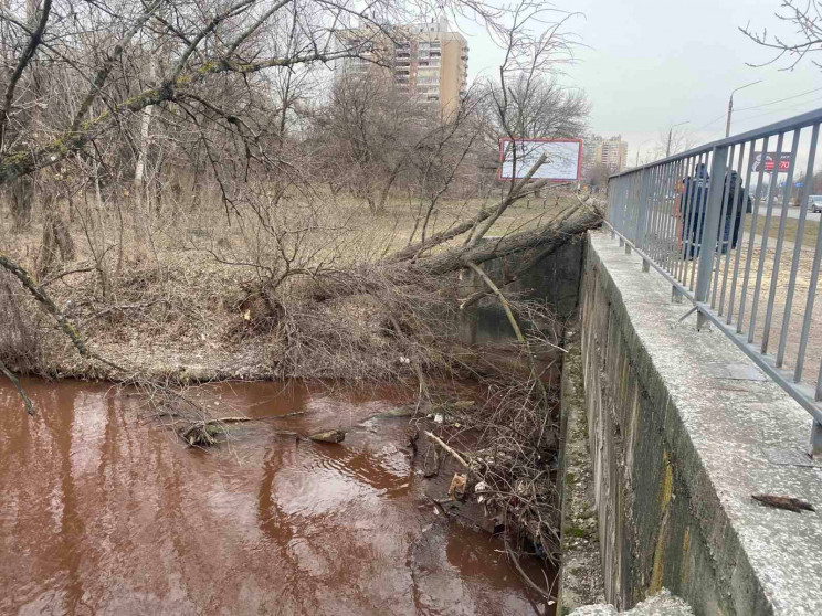 В Запорожье на набережной упало дерево и…