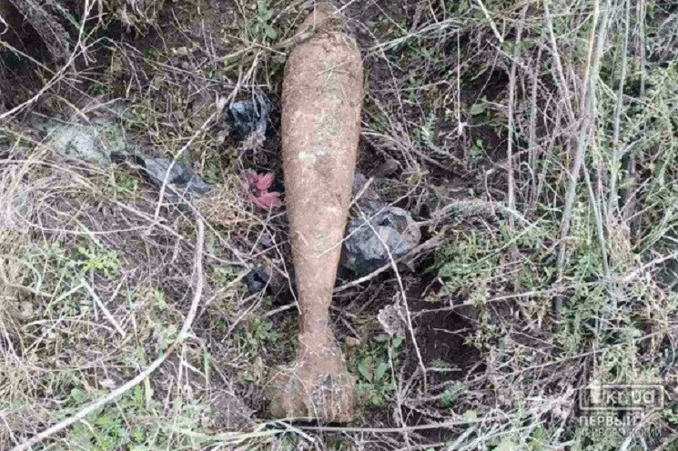 Копали могилу и обнаружили мину: В Криво…