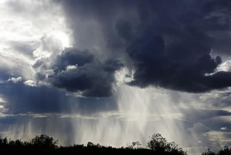 Дощі та +30ºС: Синоптики розповіли про п…