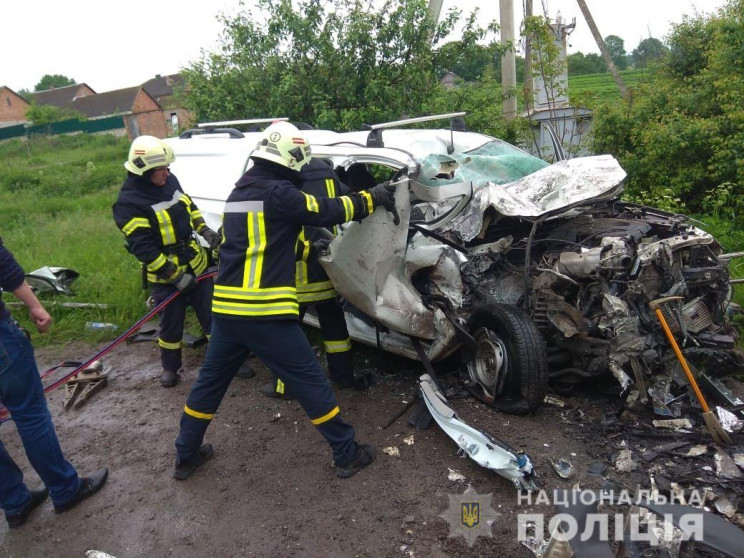 На Тернопільщині уже цьогоріч загинула в…