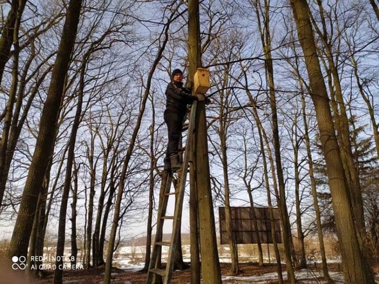 У лісах Новоушиччини вже розвішали 200 ш…