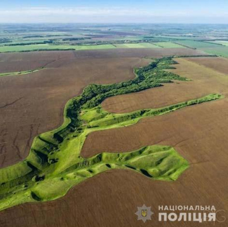 На Дніпропетровщині посадовці РДА дозвол…