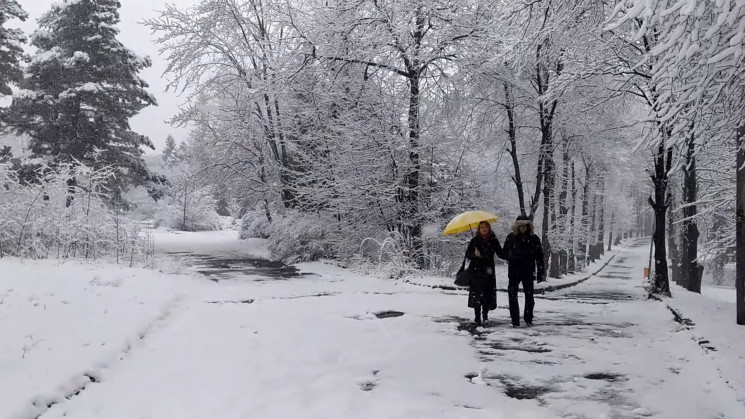 Львовскую область засыпало снегом (ФОТО)…