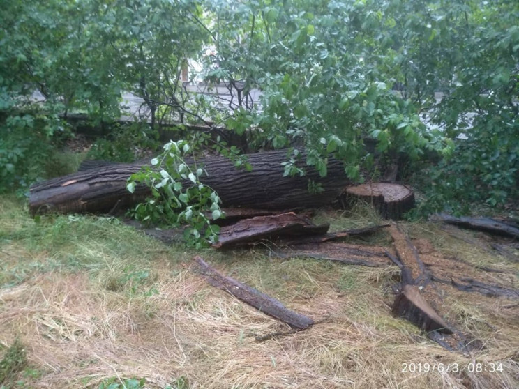 Непогода в Одессе: Повалено шесть деревь…