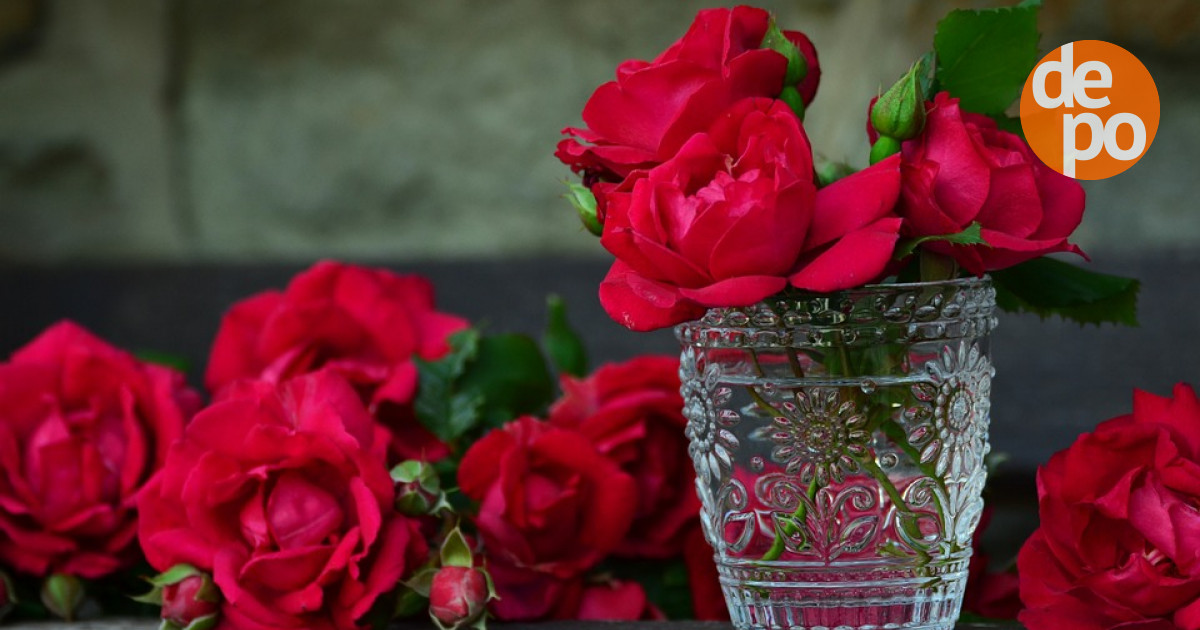 Как продлить жизнь розам: советы по уходу и добавкам для вазы