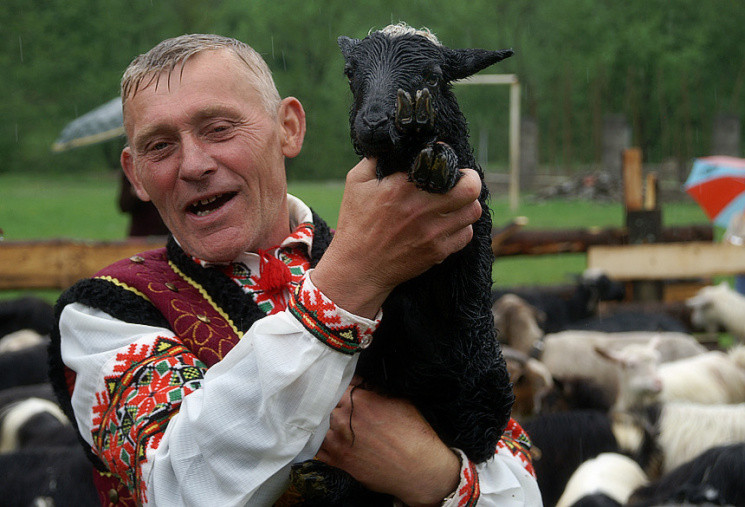 Проводи отар на полонину: Як закарпатці…