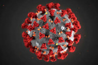 У світі коронавірусом хворіє вже майже 1…
