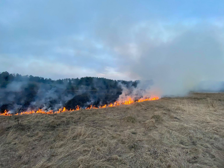 У Львівській області загасили 87 пожеж с…