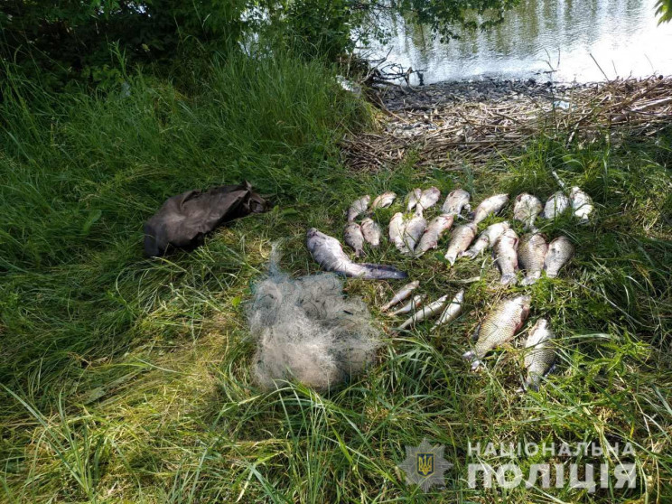 На Кременчуцькому водосховищі Дніпра на…