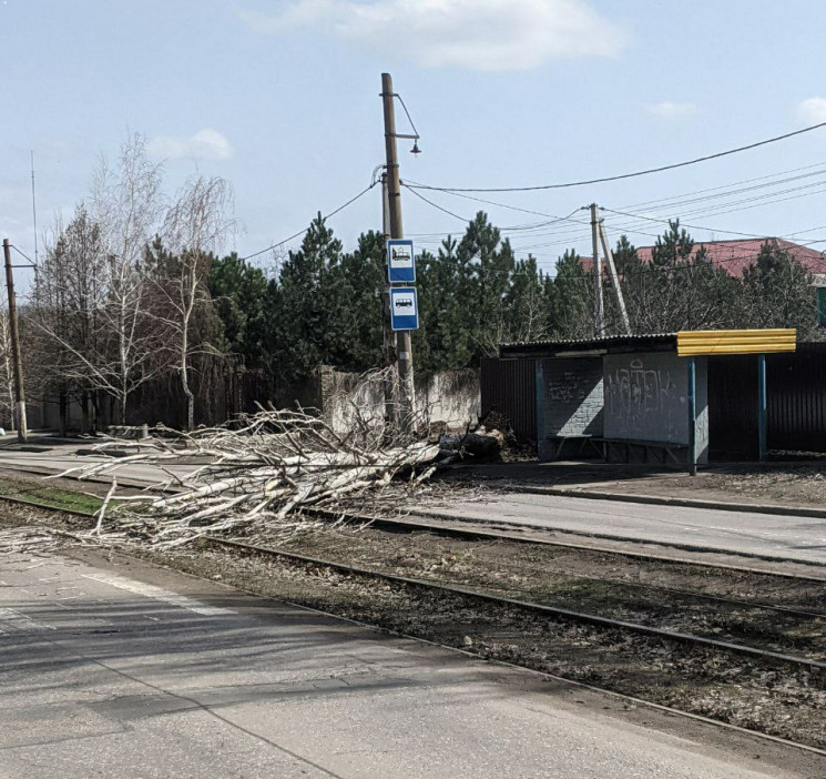 В окупованому Донецьку дерево впало і пе…