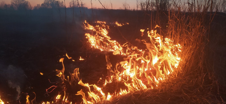Выгорело 32 гектаров: Харьковские спасат…