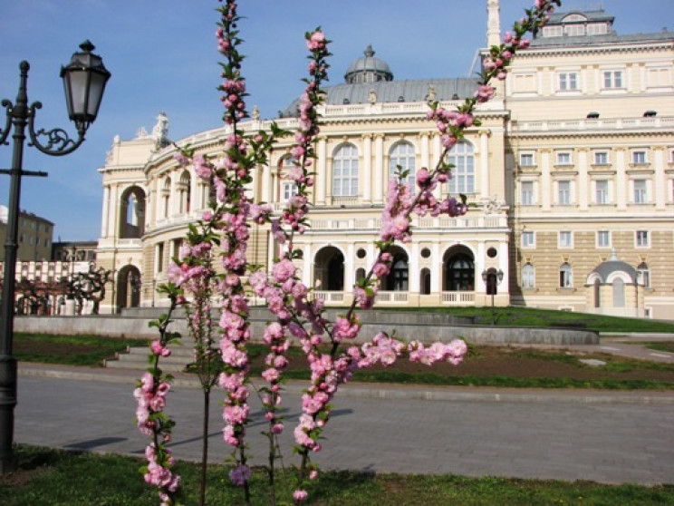 Морози позаду: Погода в Одесі 13 квітня…