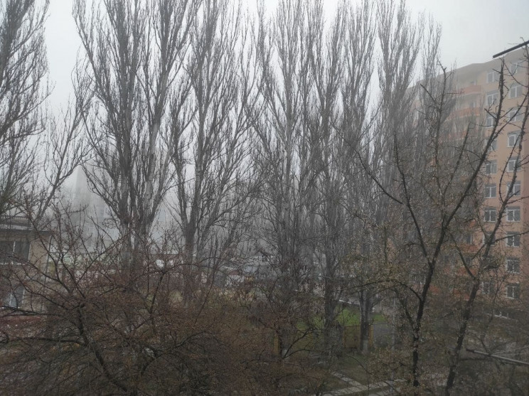 Погода в Херсоне и области 14 апреля: ту…