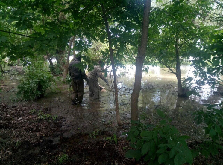 Одесски спасатели достали из реки Дунай…
