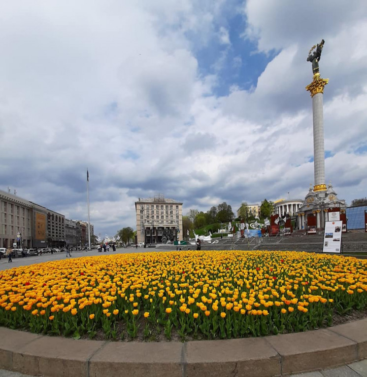 В центре Киева зацвели тысячи тюльпанов,…