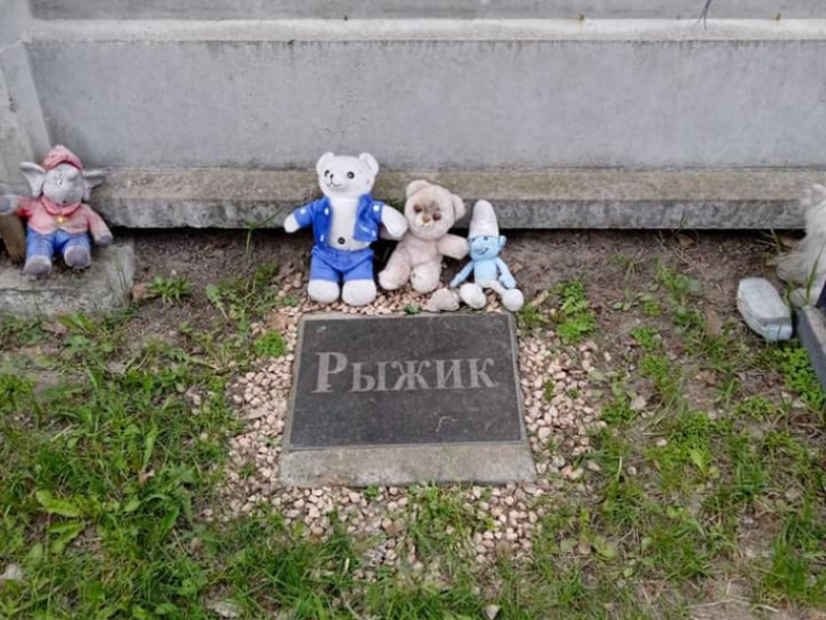 На столичних Позняках ліквідують кладови…