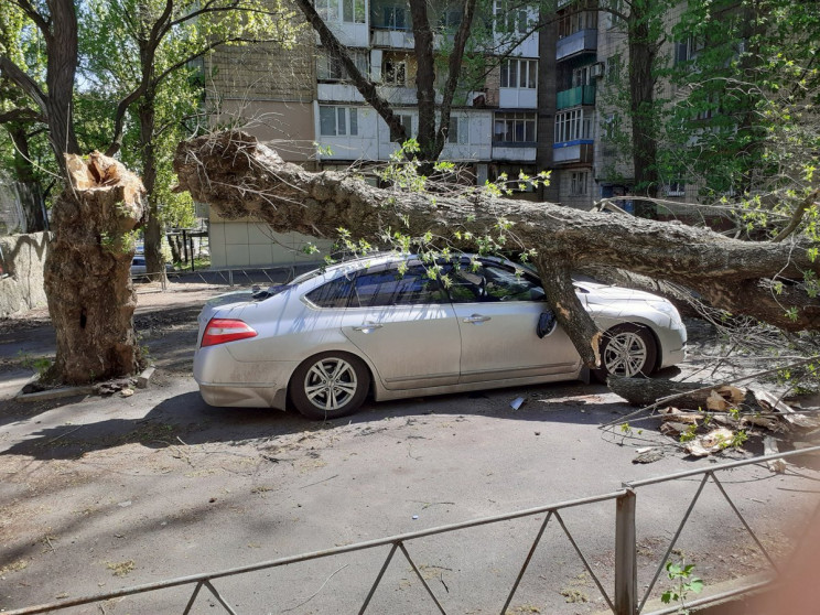 В окупованому Донецьку знову упало дерев…