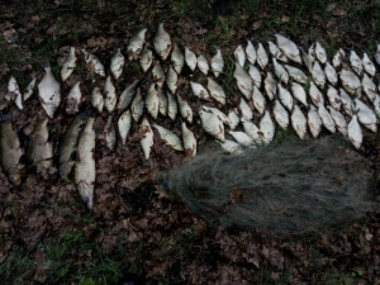 На Харківщині у браконьєрів забрали тонн…