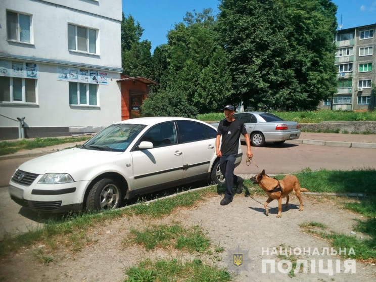 У підвалі житомирської п’ятиповерхівки ш…