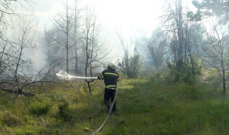 В лес нельзя: На Полтавщине объявили выс…