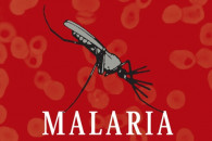 В Украине обнаружили пять случаев маляри…