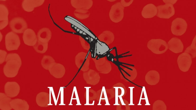 В Україні виявили п'ять випадків малярії…