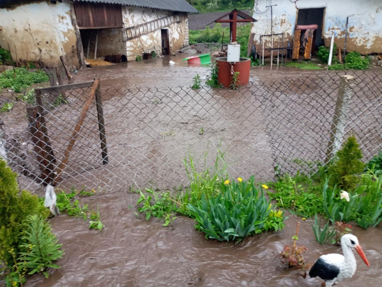На Прикарпатті затопило село (ФОТО)…