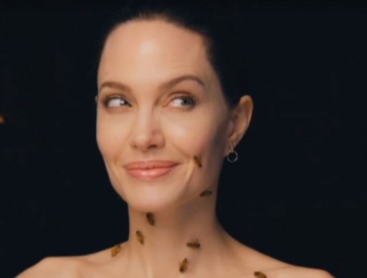 Джоли облепили тысячи пчел: Звезда встал…