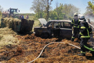 В Запорожской области в поле дотла сгоре…
