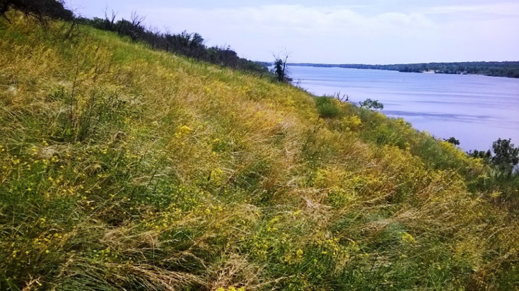 Червнева Хортиця: Під пекучим сонцем зап…