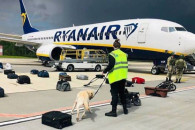 Письмо о "минировании" самолета Ryanair…