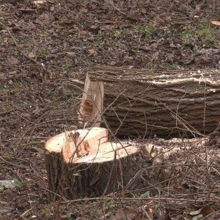 В Хмельницкой области СБУшники разоблачи…