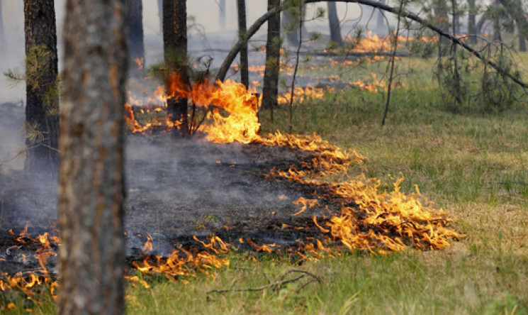 В Украине сохраняется чрезвычайная пожар…
