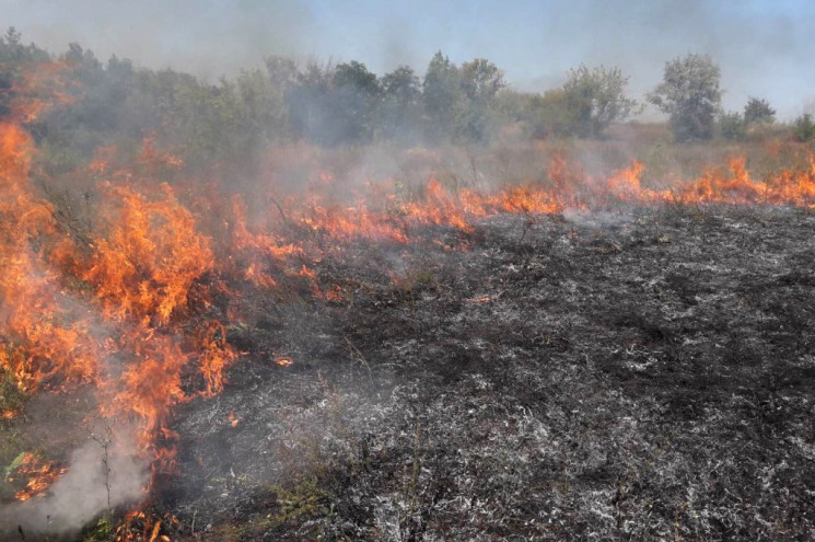На Дніпропетровщині масштабна пожежа охо…