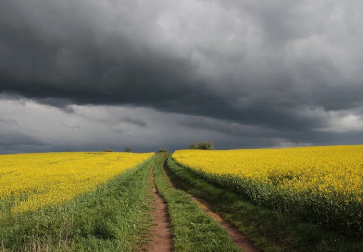 Украину накроют грозы: Когда ждать ухудш…