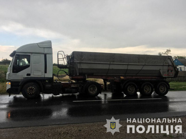 В Запорожской области грузовик сбил вело…