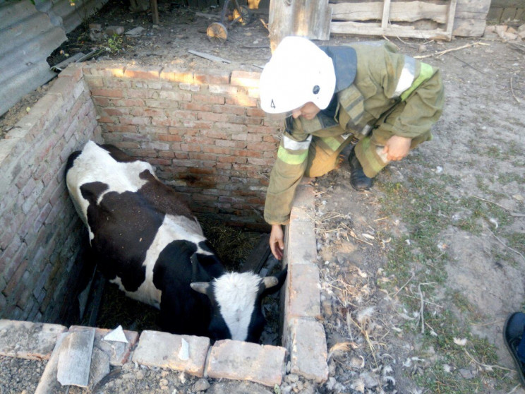 Неподалік Полтави бійці ДСНС врятували з…