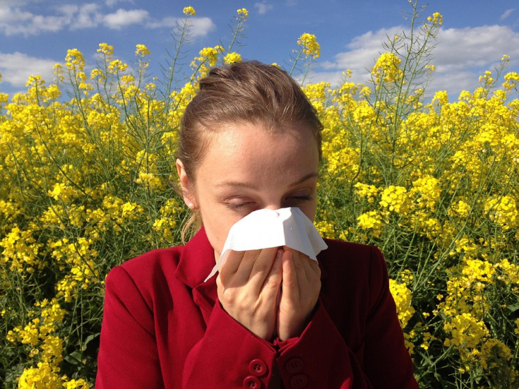 Алергія на пилок: Графік цвітіння алерге…