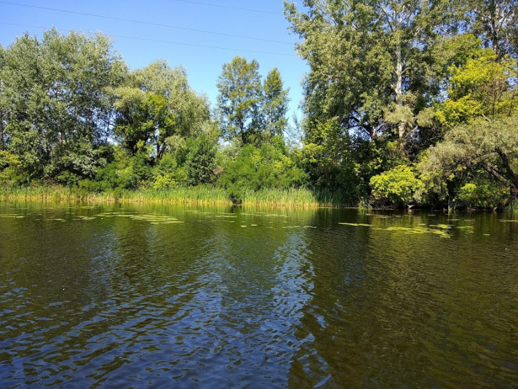 У річці Псел на Полтавщині знайшли стокі…