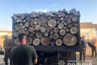 На Харківщині незаконно вирубували дерев…