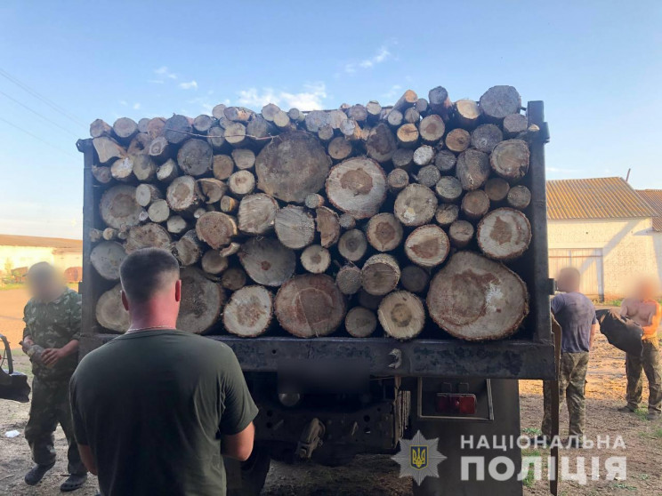 На Харківщині незаконно вирубували дерев…