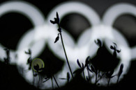 Організатори Олімпіади в Токіо не встигн…