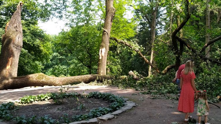 Як буря поламала дерева у парку в центрі…