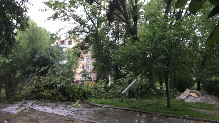 Як у Львові починалася буря (ВІДЕО)…